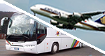 Le offerte di operatori e hotel che includono pacchetti completi per tours esporativi.